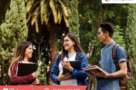 mengapa magang kini jadi penentu di dunia kerja 